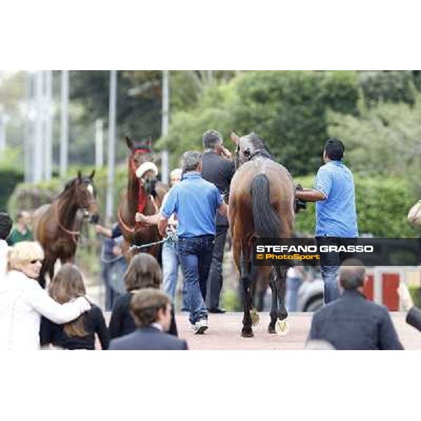 Real Solution returns home with his grooms after winning the Premio Botticelli Rome - Capannelle racecourse, 29th apri l2012 ph.Stefano Grasso