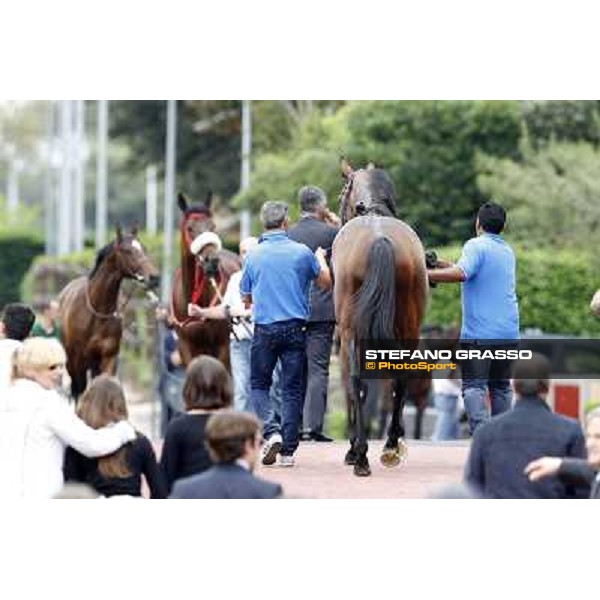 Real Solution returns home with his grooms after winning the Premio Botticelli Rome - Capannelle racecourse, 29th apri l2012 ph.Stefano Grasso