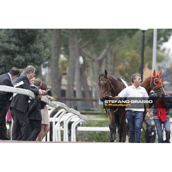 Art of Dreams parading before the start of Premio Parioli Rome - Capannelle racecourse, 29th apri l2012 ph.Stefano Grasso