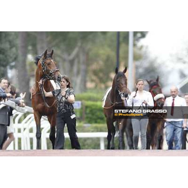 Farraaj and Malossol parade before the start of Premio Parioli Rome - Capannelle racecourse, 29th apri l2012 ph.Stefano Grasso