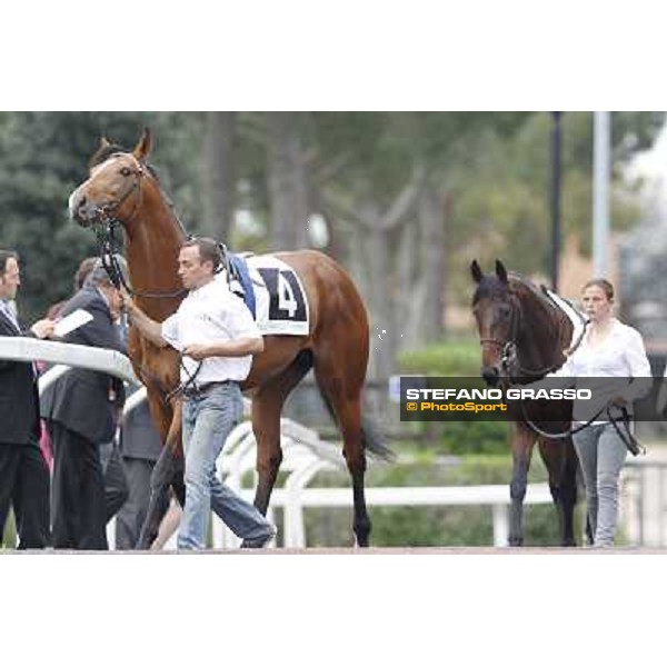 Lui e La Luna and Malossol parade before the start of Premio Parioli Rome - Capannelle racecourse, 29th apri l2012 ph.Stefano Grasso