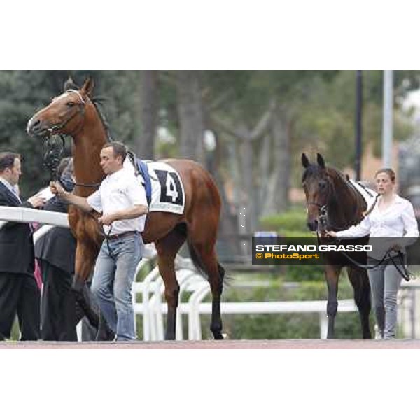 Lui e La Luna and Malossol parade before the start of Premio Parioli Rome - Capannelle racecourse, 29th apri l2012 ph.Stefano Grasso