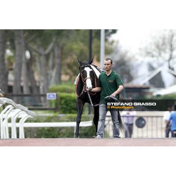 Vedelago parades before the start of Premio Parioli Rome - Capannelle racecourse, 29th apri l2012 ph.Stefano Grasso