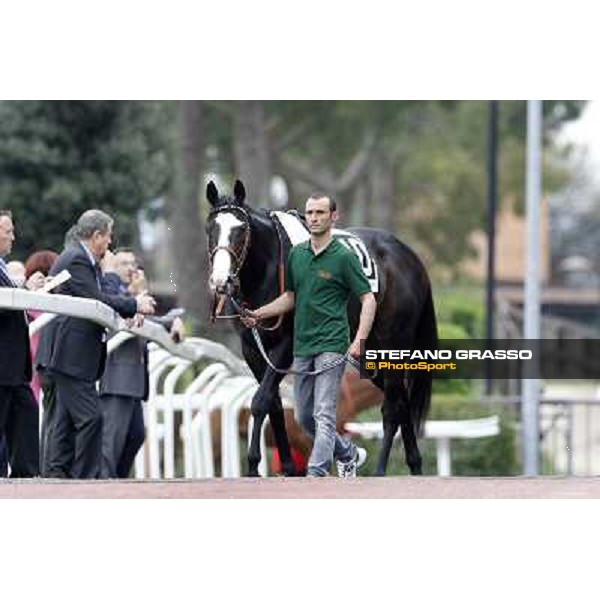 Vedelago parades before the start of Premio Parioli Rome - Capannelle racecourse, 29th apri l2012 ph.Stefano Grasso