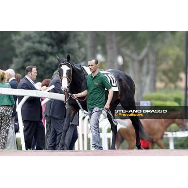 Vedelago parades before the start of Premio Parioli Rome - Capannelle racecourse, 29th apri l2012 ph.Stefano Grasso