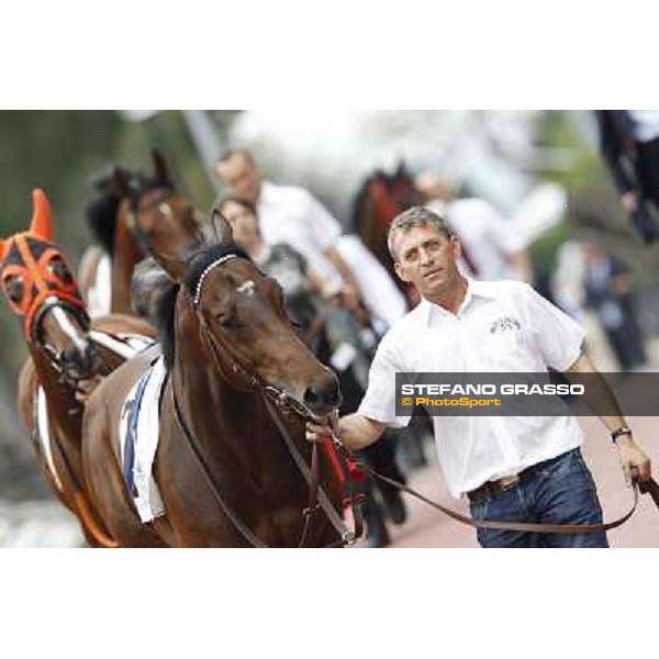 Art of Dreams followed by Facoltoso enters the paddock before the start of the Premio Parioli Rome - Capannelle racecourse, 29th apri l2012 ph.Stefano Grasso