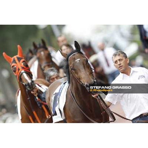 Art of Dreams followed by Facoltoso enters the paddock before the start of the Premio Parioli Rome - Capannelle racecourse, 29th apri l2012 ph.Stefano Grasso