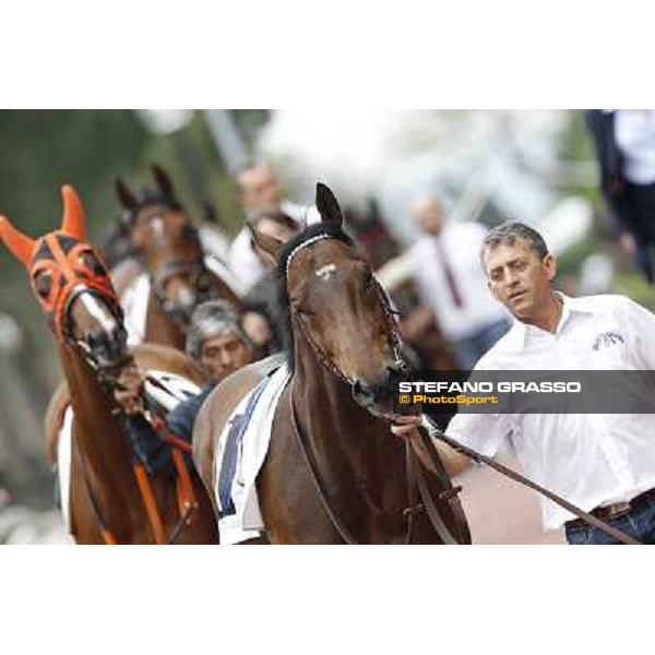 Art of Dreams followed by Facoltoso enters the paddock before the start of the Premio Parioli Rome - Capannelle racecourse, 29th apri l2012 ph.Stefano Grasso