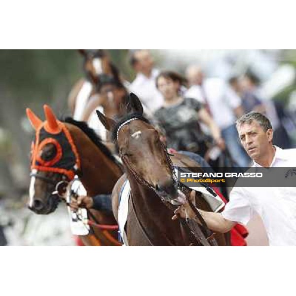 Art of Dreams followed by Facoltoso enters the paddock before the start of the Premio Parioli Rome - Capannelle racecourse, 29th apri l2012 ph.Stefano Grasso