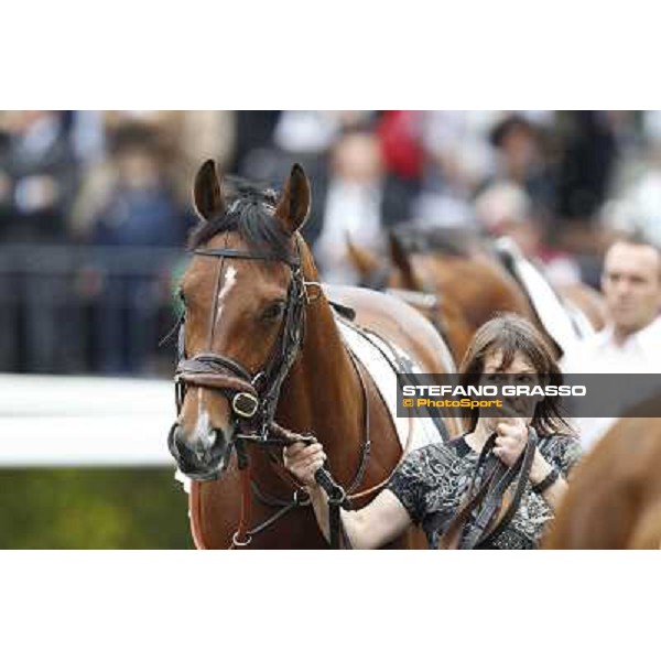 Farraaj parades in the paddock before the start of the Premio Parioli Rome - Capannelle racecourse, 29th apri l2012 ph.Stefano Grasso