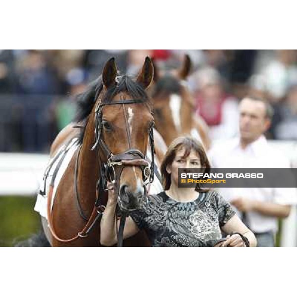 Farraaj parades in the paddock before the start of the Premio Parioli Rome - Capannelle racecourse, 29th apri l2012 ph.Stefano Grasso