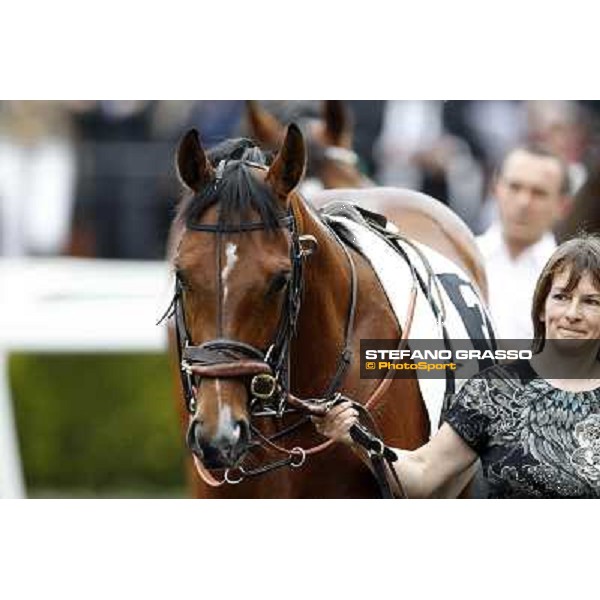 Farraaj parades in the paddock before the start of the Premio Parioli Rome - Capannelle racecourse, 29th apri l2012 ph.Stefano Grasso