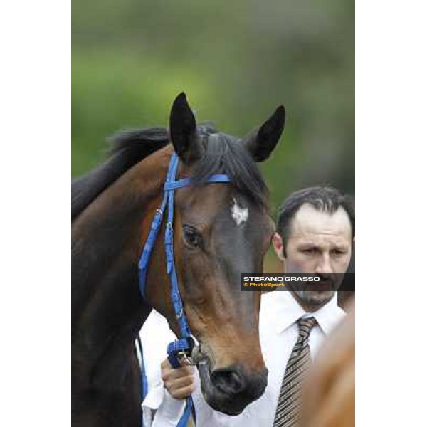 Icebreaking parades before the start of the Premio Regina Elena Rome - Capannelle racecourse, 29th april 2012 ph.Stefano Grasso