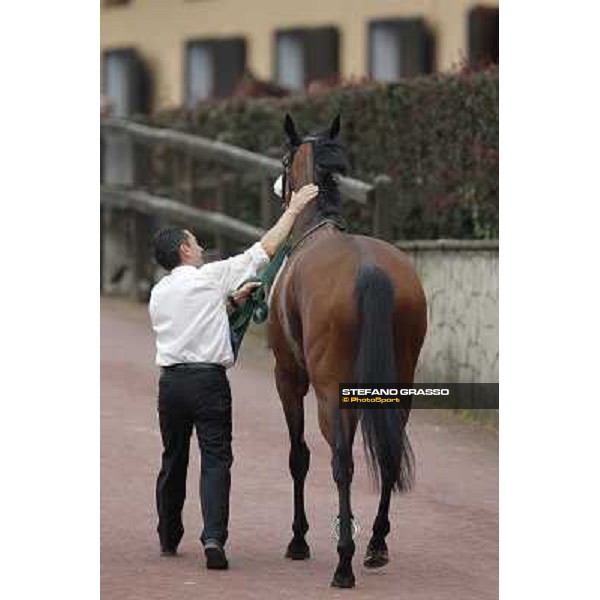 Jonathan Bacci and Cherry Collect returns home after winning the Premio Regina Elena Rome - Capannelle racecourse, 29th april 2012 ph.Stefano Grasso