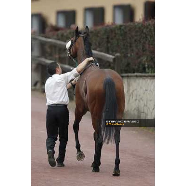 Jonathan Bacci and Cherry Collect returns home after winning the Premio Regina Elena Rome - Capannelle racecourse, 29th april 2012 ph.Stefano Grasso