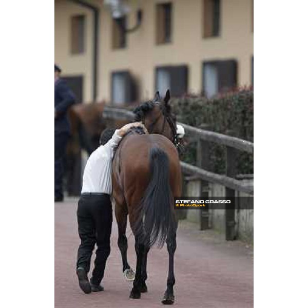 Jonathan Bacci and Cherry Collect returns home after winning the Premio Regina Elena Rome - Capannelle racecourse, 29th april 2012 ph.Stefano Grasso