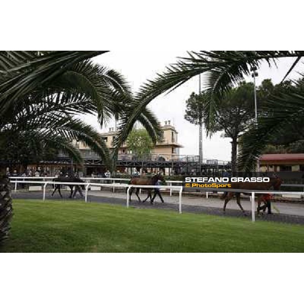 The saddling boxes Rome - Capannelle racecourse, 29th april 2012 ph.Stefano Grasso