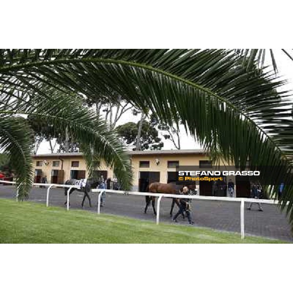 The saddling boxes Rome - Capannelle racecourse, 29th april 2012 ph.Stefano Grasso