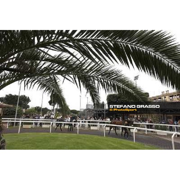 The saddling boxes Rome - Capannelle racecourse, 29th april 2012 ph.Stefano Grasso