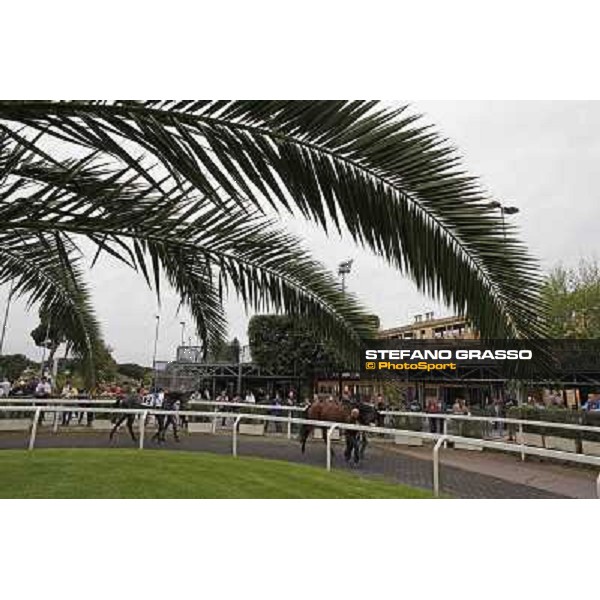 The saddling boxes Rome - Capannelle racecourse, 29th april 2012 ph.Stefano Grasso