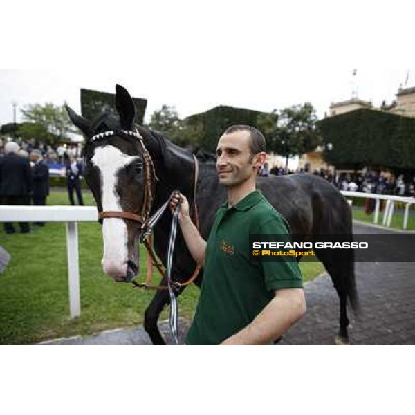 Vedelago walks back home after the 2nd place in the Premio Parioli Rome - Capannelle racecourse, 29th april 2012 ph.Stefano Grasso