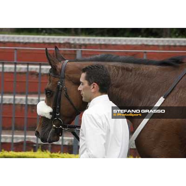 Jonathan Bacci and Cherry Collect after winning the Premio Regina Elena Rome - Capannelle racecourse, 29th april 2012 ph.Stefano Grasso