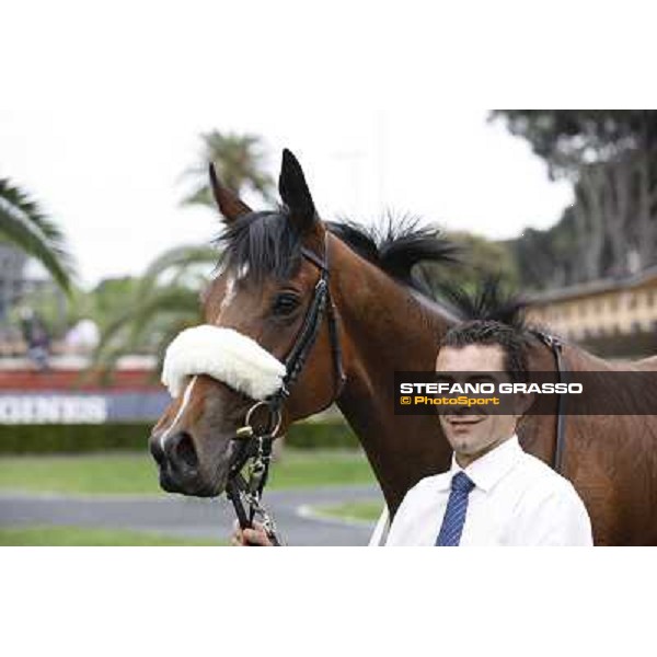 Jonathan Bacci and Cherry Collect after winning the Premio Regina Elena Rome - Capannelle racecourse, 29th april 2012 ph.Stefano Grasso