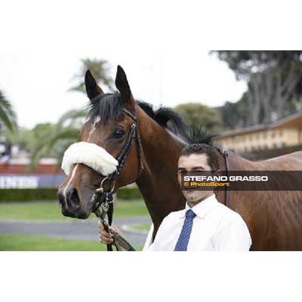 Jonathan Bacci and Cherry Collect after winning the Premio Regina Elena Rome - Capannelle racecourse, 29th april 2012 ph.Stefano Grasso