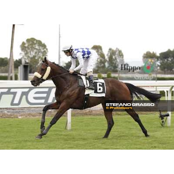 Mirco Demuro on Principe Adepto wins the Premio Signorino Rome - Capannelle racecourse, 29th april 2012 ph.Stefano Grasso