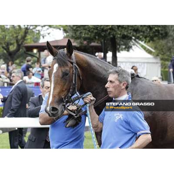 Real Solution parades after winning the Premio Botticelli Rome - Capannelle racecourse, 29th april 2012 ph.Stefano Grasso