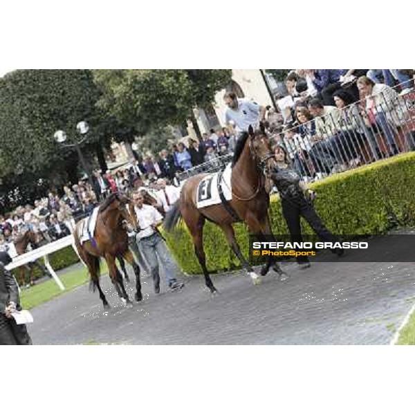 Farraaj parades before the start of the Premio Parioli Rome - Capannelle racecourse, 29th april 2012 ph.Stefano Grasso