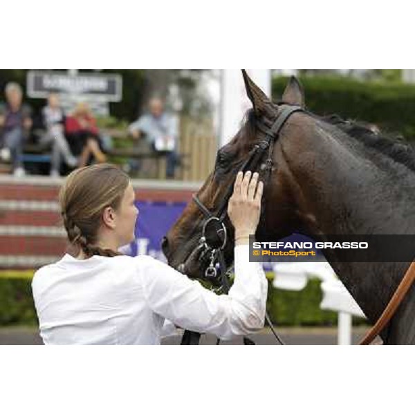 Malossol receives caresses by his groom Eva after winning the Premio Parioli. Rome - Capannelle racecourse, 29th april 2012 ph.Stefano Grasso