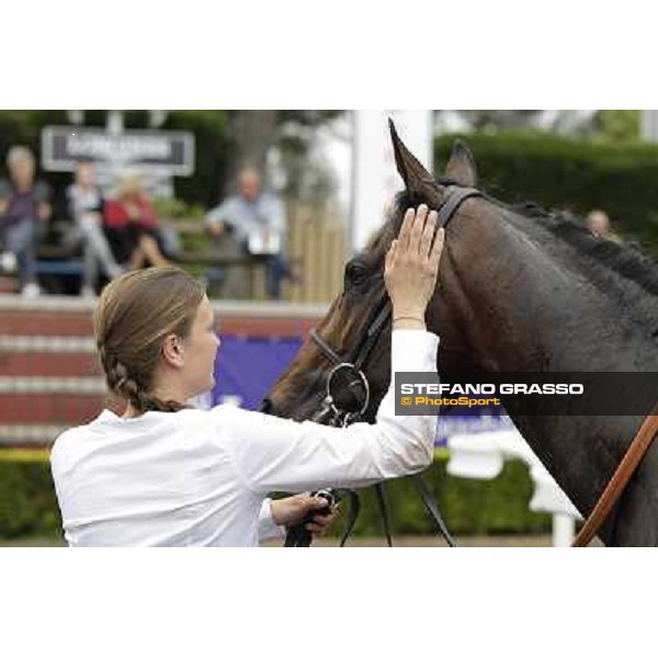 Malossol receives caresses by his groom Eva after winning the Premio Parioli. Rome - Capannelle racecourse, 29th april 2012 ph.Stefano Grasso