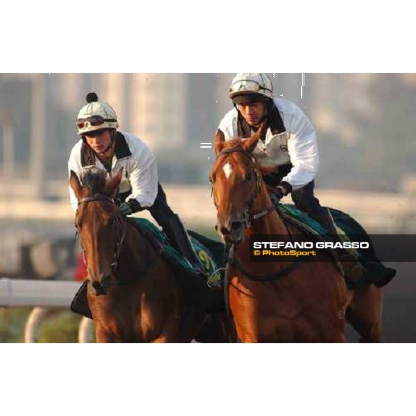 Sha Tin - morning track works 9th dec. 2004 ph. Stefano Grasso