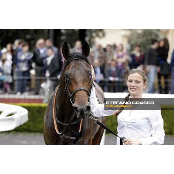 Malossol receives caresses by his groom Eva after winning the Premio Parioli. Rome - Capannelle racecourse, 29th april 2012 ph.Stefano Grasso