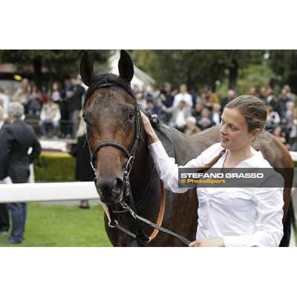 Malossol receives caresses by his groom Eva after winning the Premio Parioli. Rome - Capannelle racecourse, 29th april 2012 ph.Stefano Grasso