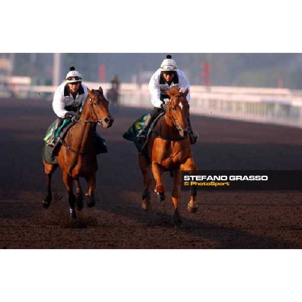 Sha Tin - morning track works 9th dec. 2004 ph. Stefano Grasso