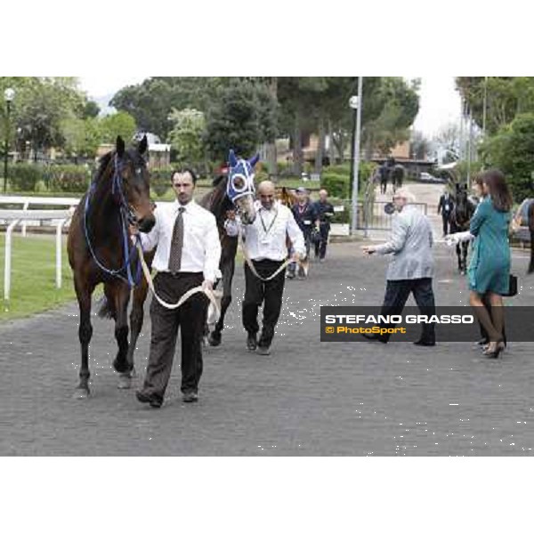 Icebreaking and Dark Ray parade before the start of the Premio Regina Elena. Rome - Capannelle racecourse, 29th april 2012 ph.Stefano Grasso