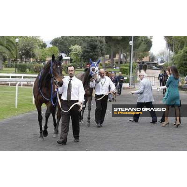 Icebreaking and Dark Ray parade before the start of the Premio Regina Elena. Rome - Capannelle racecourse, 29th april 2012 ph.Stefano Grasso