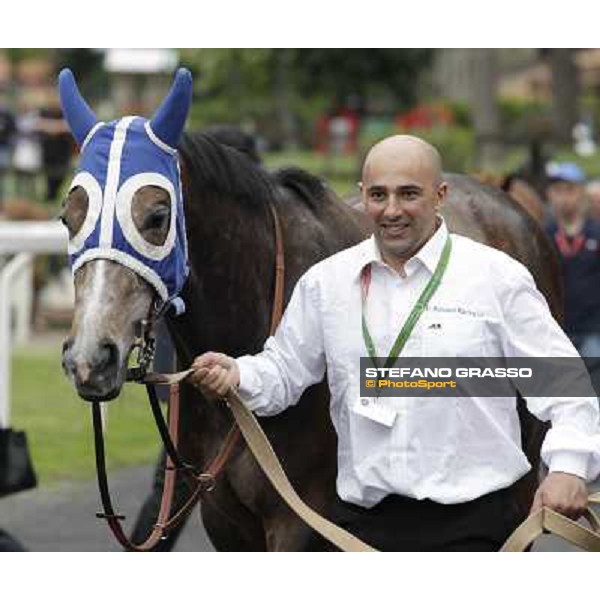 Dark Ray parades before the start of the Premio Regina Elena. Rome - Capannelle racecourse, 29th april 2012 ph.Stefano Grasso