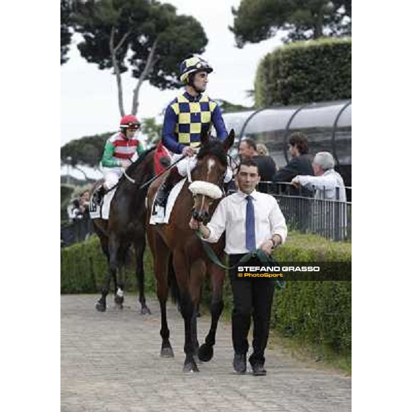 Fabio Branca on Cherry Collect before the start of the Premio Regina Elena. Rome - Capannelle racecourse, 29th april 2012 ph.Stefano Grasso