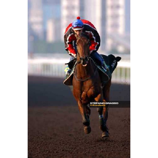 Sha Tin - morning track works 9th dec. 2004 ph. Stefano Grasso