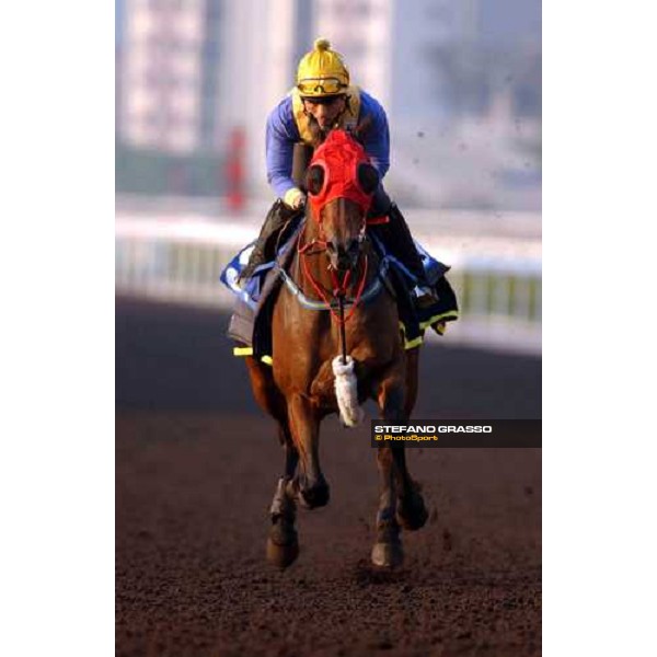 Sha Tin - morning track works 9th dec. 2004 ph. Stefano Grasso