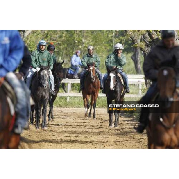 Vedelago on training Rome - Capannelle trainingcenter, 24th april 2012 ph.Stefano Grasso