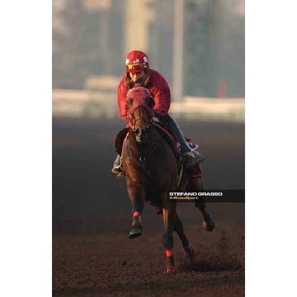 Sha Tin - morning track works 9th dec. 2004 ph. Stefano Grasso