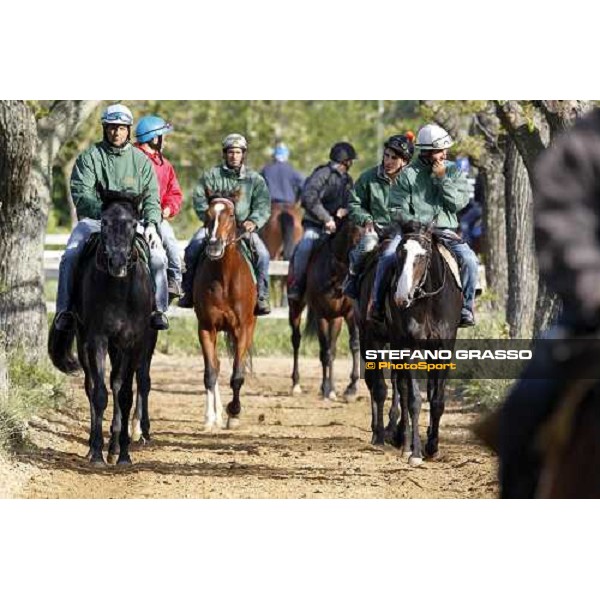 Vedelago on training Rome - Capannelle trainingcenter, 24th april 2012 ph.Stefano Grasso