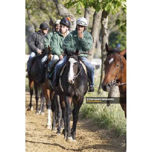 Vedelago on training Rome - Capannelle trainingcenter, 24th april 2012 ph.Stefano Grasso