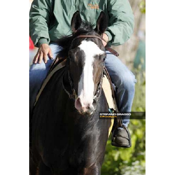 Vedelago on training Rome - Capannelle trainingcenter, 24th april 2012 ph.Stefano Grasso