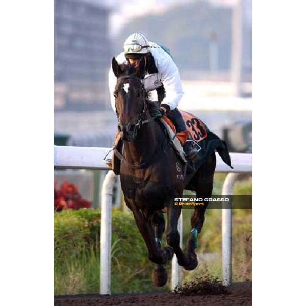 Sha Tin - morning track works 9th dec. 2004 ph. Stefano Grasso
