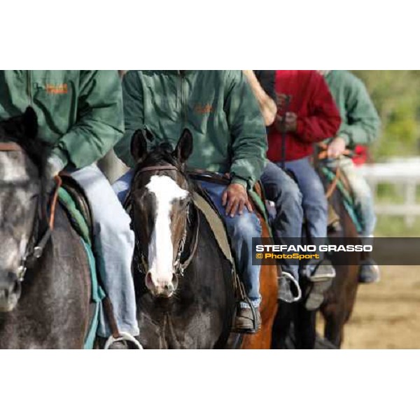 Vedelago on training Rome - Capannelle trainingcenter, 24th april 2012 ph.Stefano Grasso